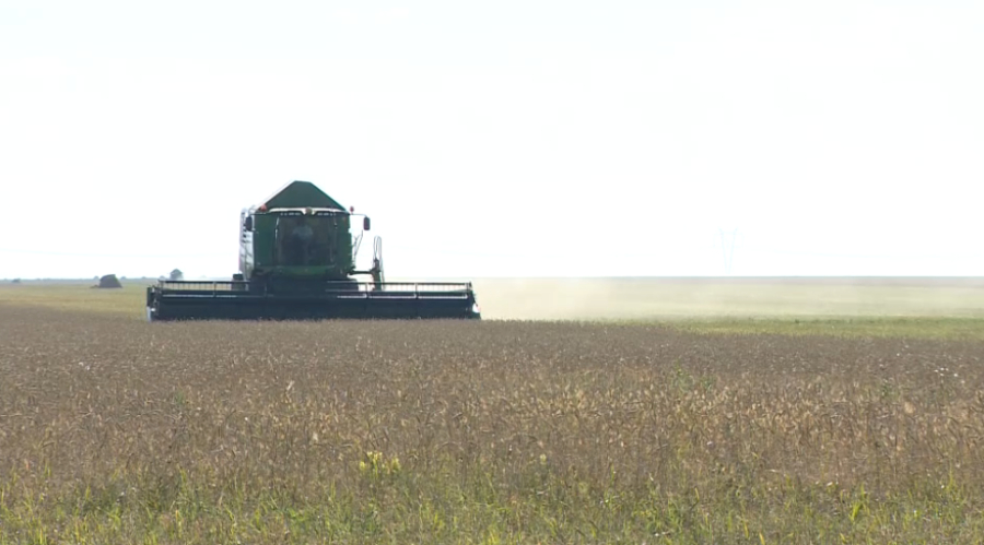 В какие страны экспортирует зерно Казахстан