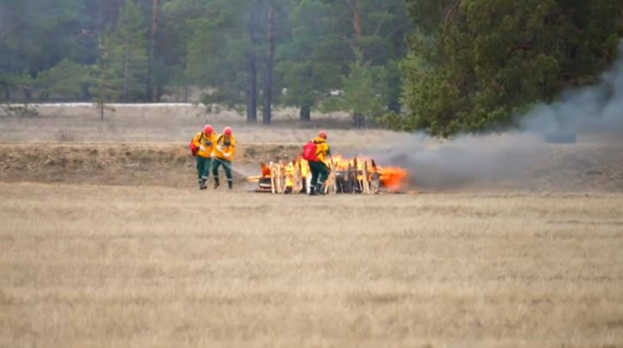 Защиту лесов от пожаров усиливают в области Абай