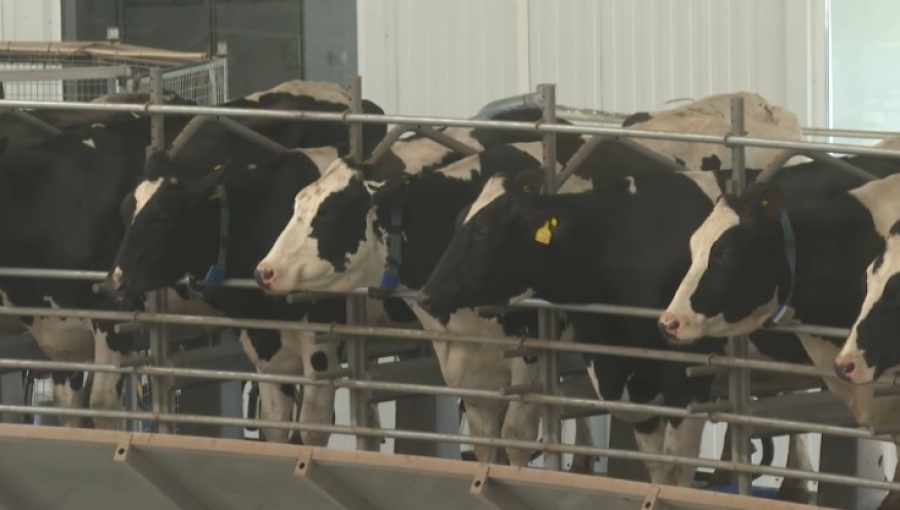 24 новые МТФ введут в эксплуатацию до конца года