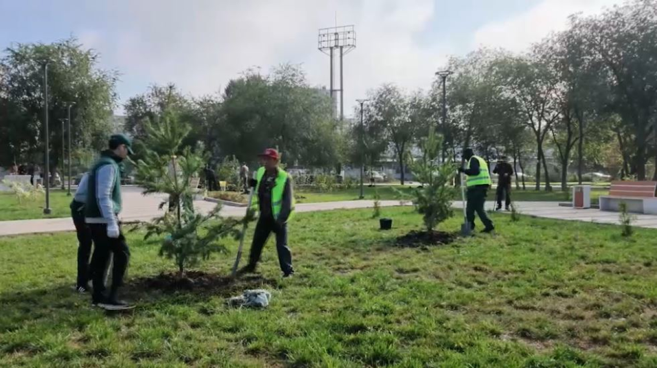 Свыше семи тысяч деревьев высадили в Актюбинской области