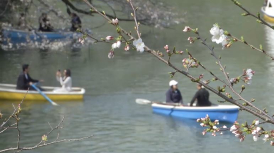 Токио назван лучшим городом мира для удалёнки