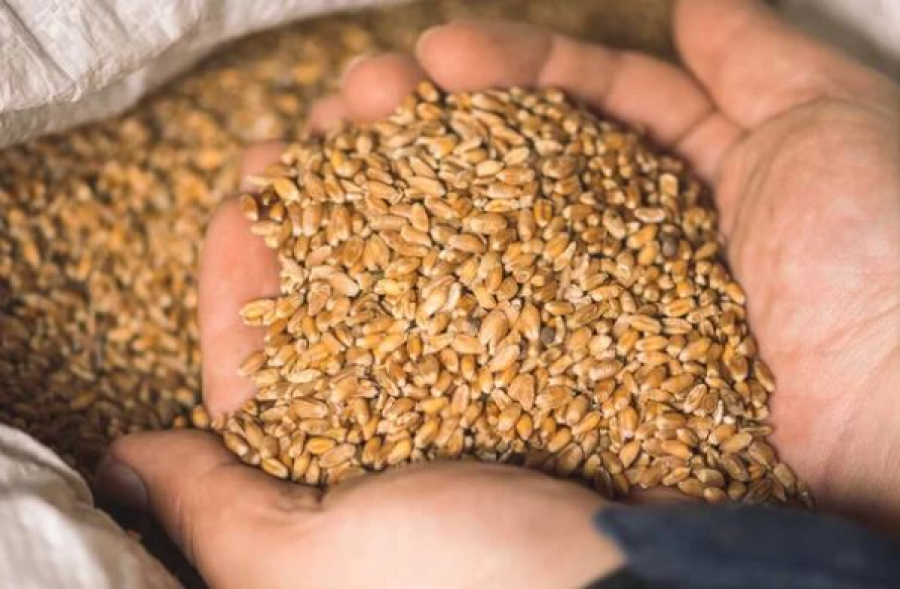 Экспорт пшеницы из Казахстана в Азербайджан превысил $100 млн