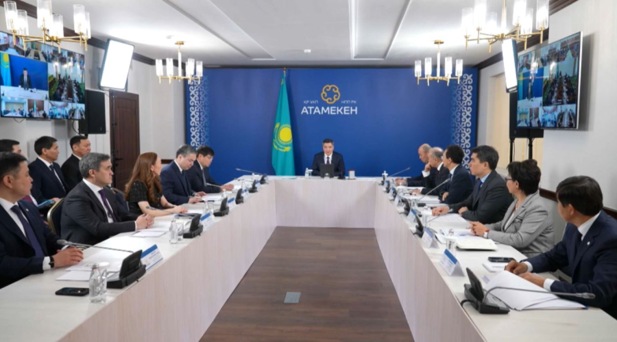 Жаңа Конституция жобасы мемлекет пен бизнес арасындағы сенімді қалыптастырады