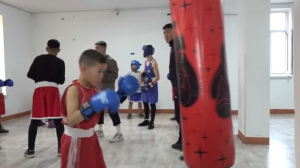 Юные жители Туркестанской области массово записываются в спортивные секции