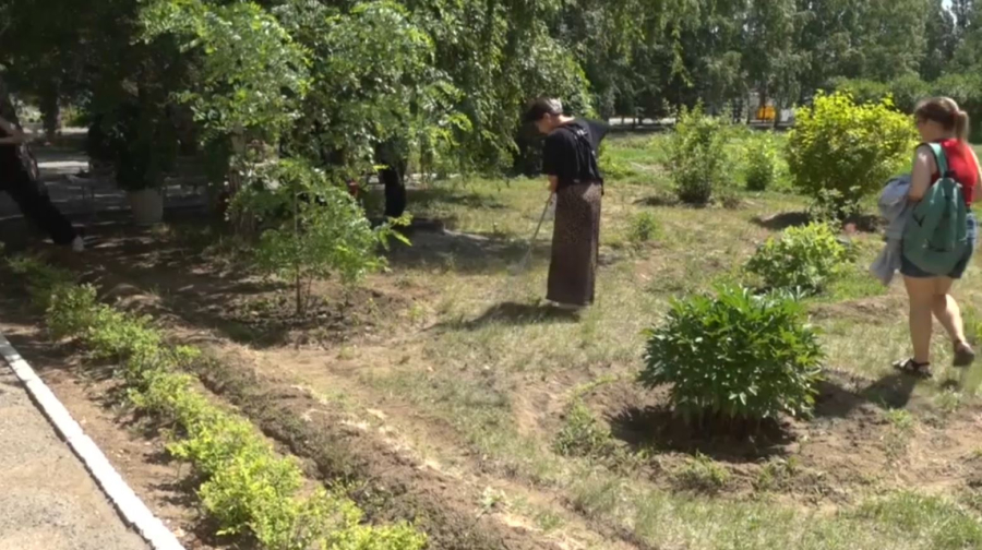 Павлодарда еріктілер туризм орталығының аумағын ретке келтірді