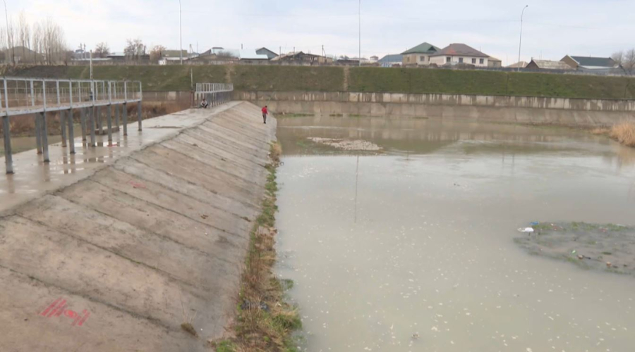 Бадам өзенінде балық қырылды