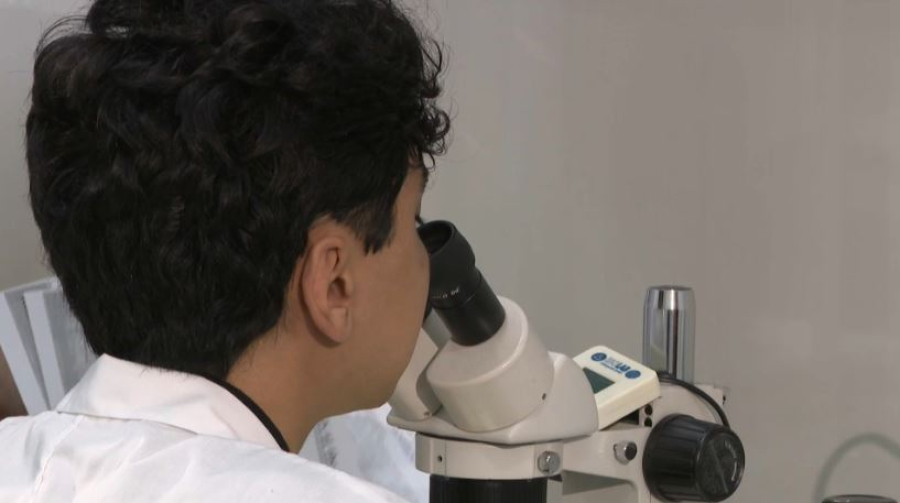 В Академии наук обсудили научные основы системной модернизации Конституции