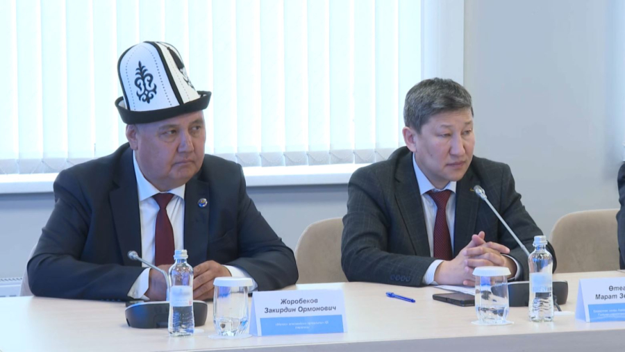 Этномәдени бірлестіктер 13 қайырымдылық шарасын ұйымдастырды