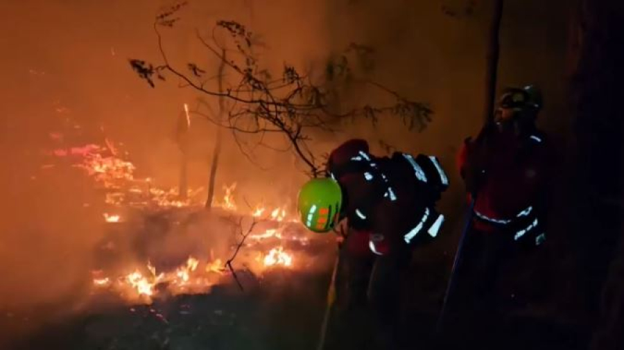 1200 человек эвакуировали из-за лесного пожара в Южной Корее