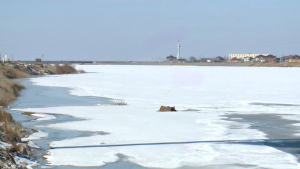 Сырдарияның жағалауы тәулік бойы бақылауға алынды