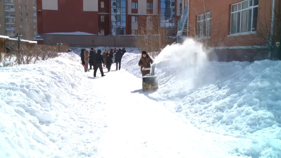 Астанада экологиялық акцияға 10 мың жас қатысты