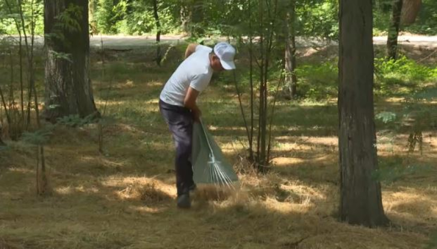 Штрафы за мусор: жителей Тараза наказали на ₸60 млн