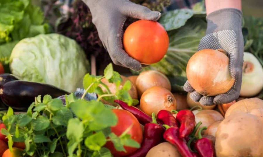 Городская ярмарка снова порадует астанчан