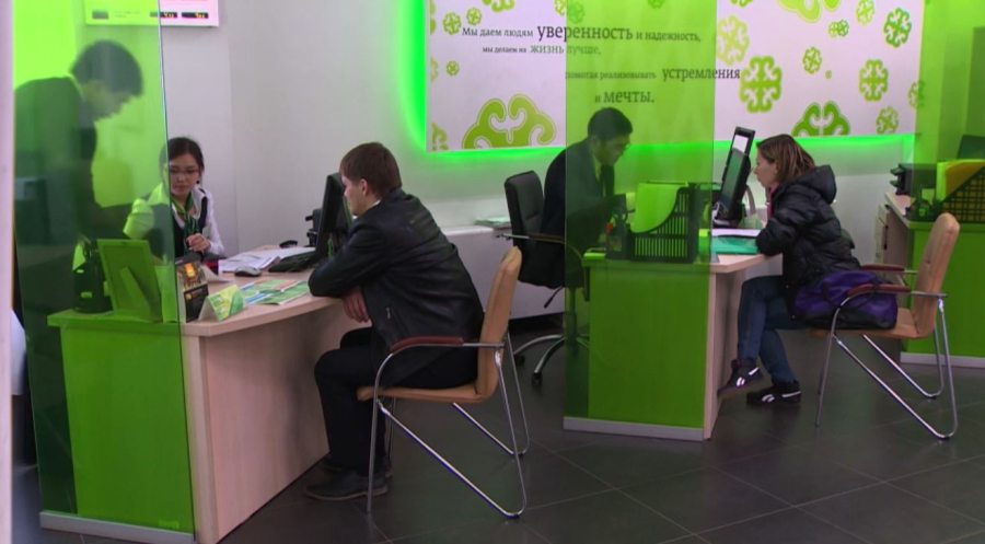 Несие рәсімдеуде тек ресми кіріс көрсетіледі