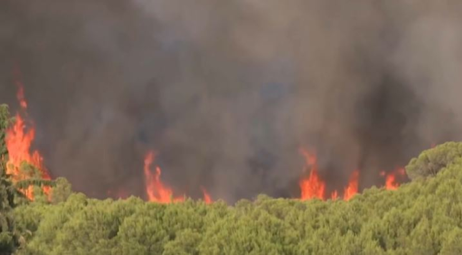 Лесные пожары в Испании угрожают объекту ЮНЕСКО