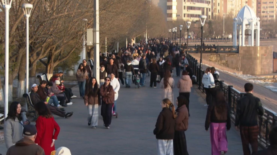 Алиментті өндіру тиімділігі артады