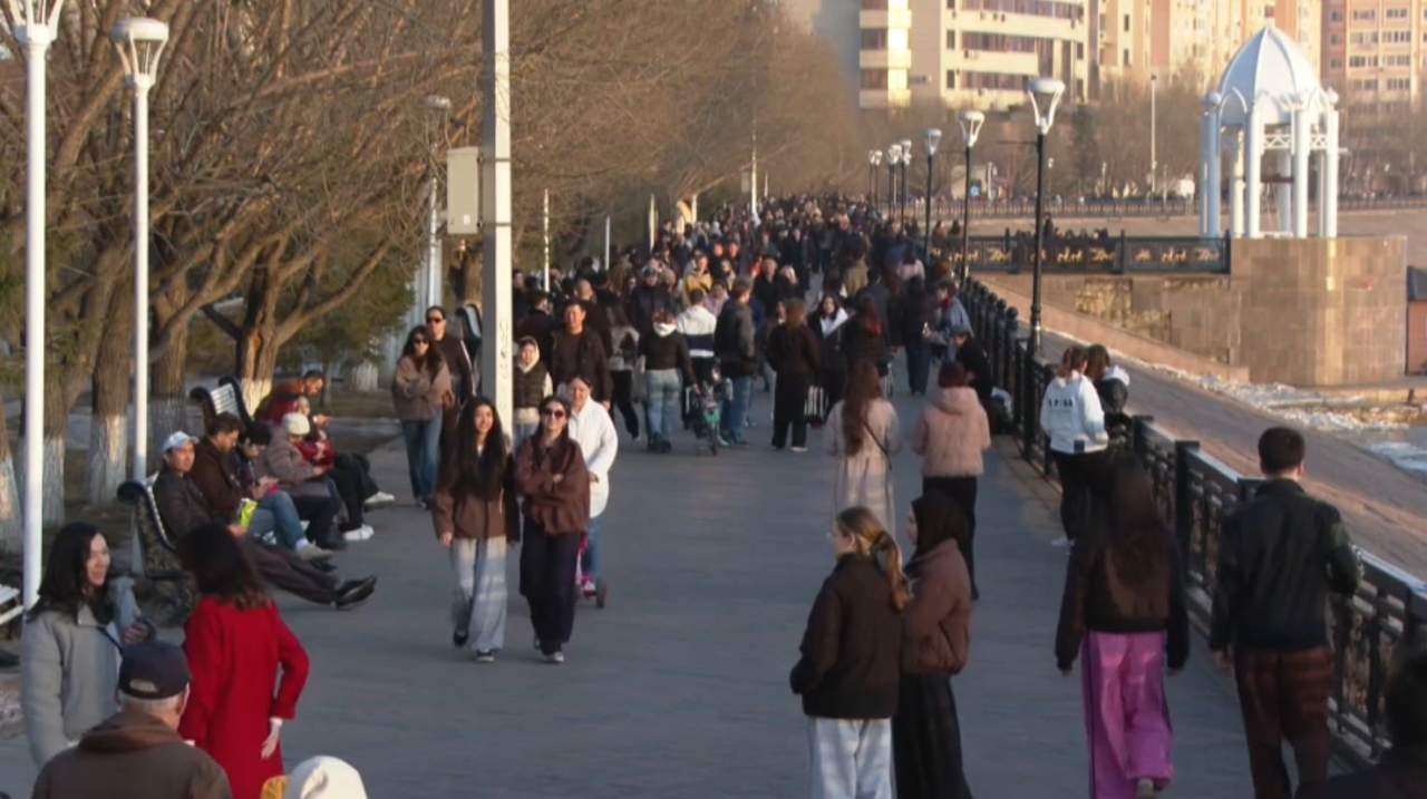 Алиментті өндіру тиімділігі артады