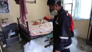 В Перу ввели режим ЧС из-за вспышки лихорадки денге