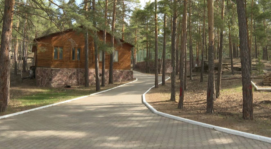 Биыл ақмолалық 20 мыңға жуық оқушы жазғы лагерьде демалады