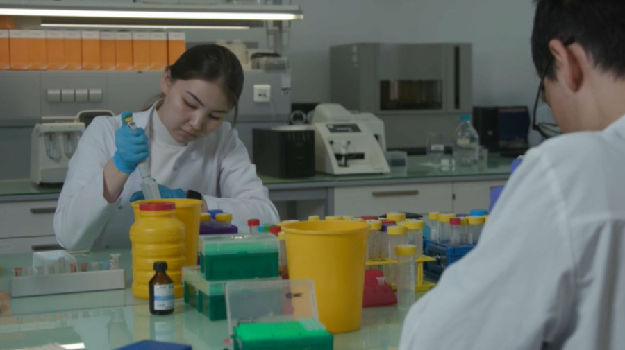 Почти ₸700 млрд выделят на реформу высшего образования