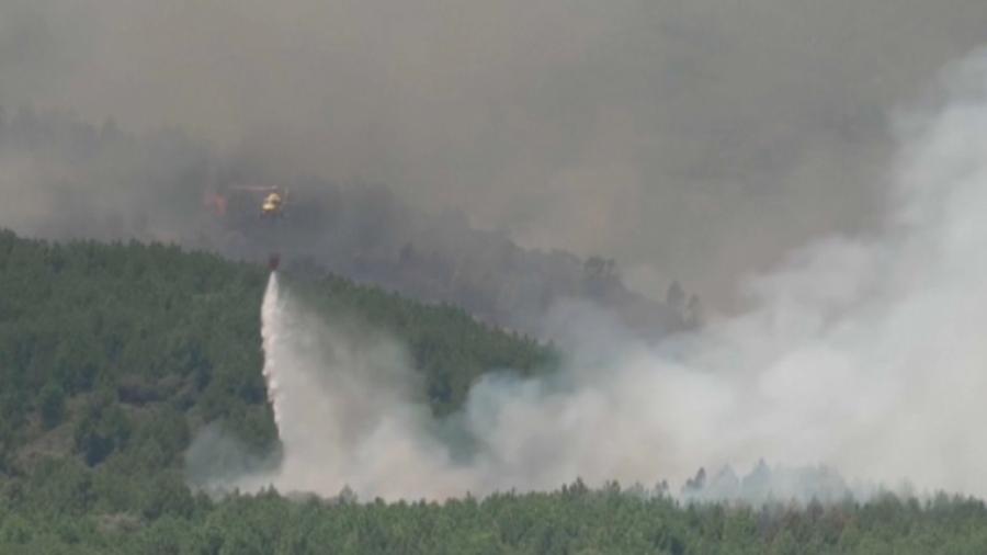 Более 1 млн га леса сгорело в Европе с начала года