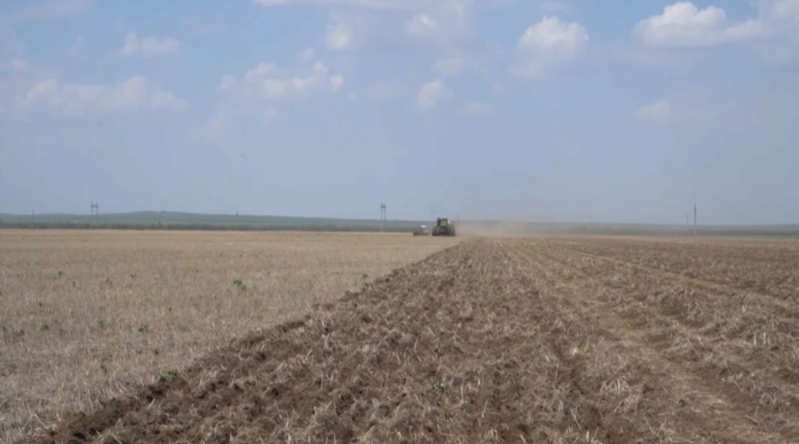 Астықты өңірлерде дала жұмысы қызды