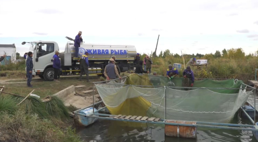 Балық шаруашылығын дамытудың жолы қандай?