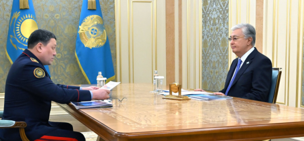 Президент принял министра внутренних дел Ержана Саденова