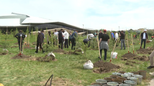 Жетісу облысында бір күнде 1000 көшет егілді