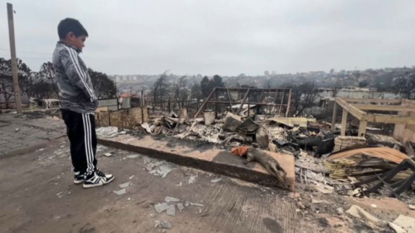 99 человек погибли в результате лесных пожаров в Чили