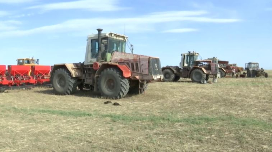 Костанайские аграрии увеличили площадь посевов масличных культур на 2 тысячи Га