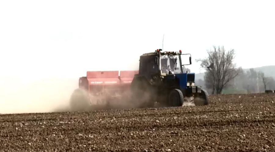 Господдержку на ₸3,5 млрд получили крестьянские хозяйства Алматинской области