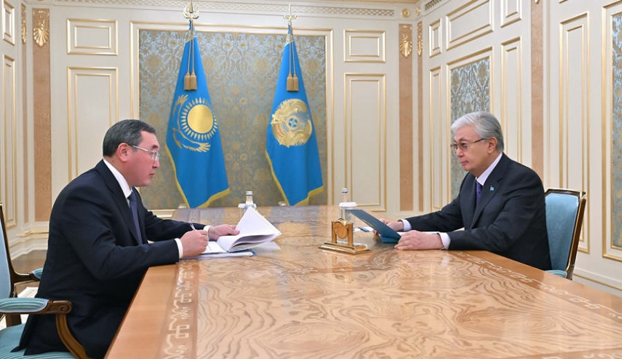 Глава государства принял акима Алматинской области