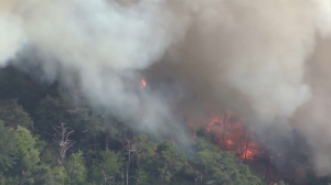 Больше 130 га леса горит в японской префектуре Ямагата