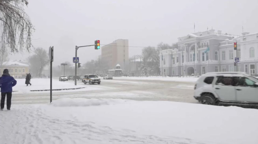 БҚО-да «Таза Қазақстан» чат-ботына 393 өтінім түскен