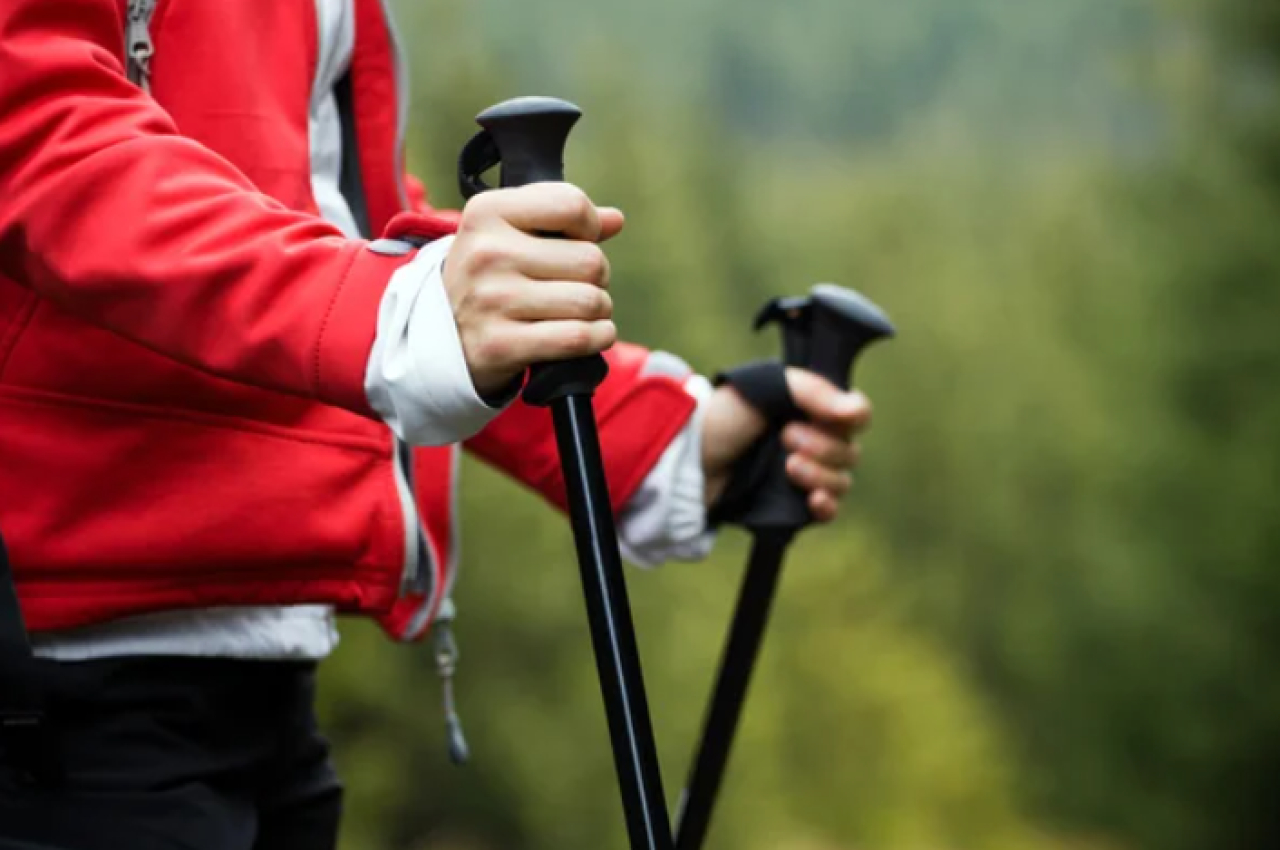 Бесплатные тренировки по скандинавской ходьбе стартуют в столице