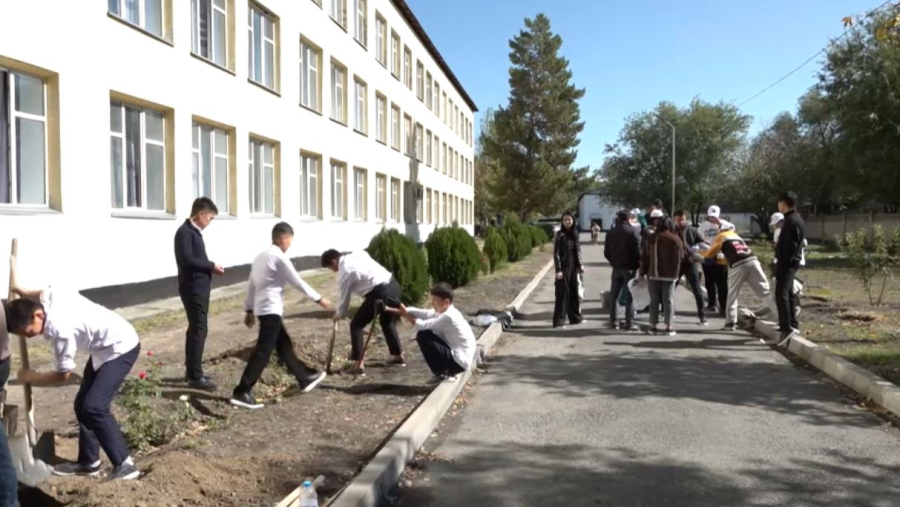 Экоакцию «Ардагерлерге тағзым» провели в области Жетысу