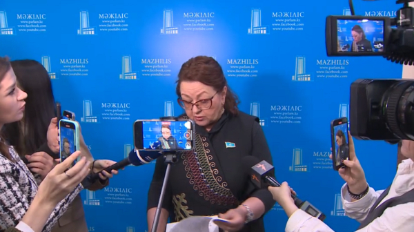 Депутат: Елдегі психиатриялық қызметті реформалау қажет