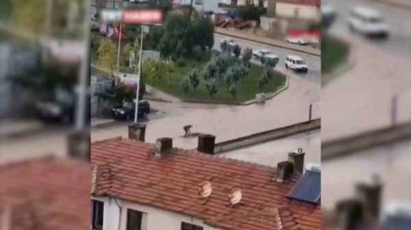 Наводнения унесли жизни двух человек на севере Турции