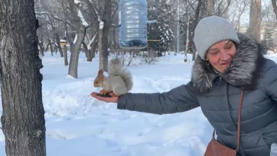 «Серебряные волонтёры» помогают птицам пережить зиму