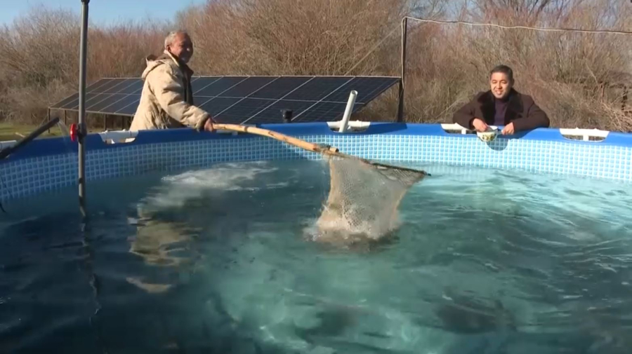 Жетісу облысында балық шаруашылығы дамып келеді