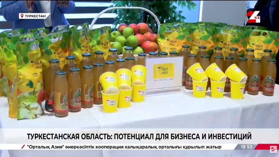 Туркестанская область: потенциал для бизнеса и инвестиций