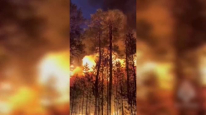 Дальний Восток России охвачен масштабными лесными пожарами