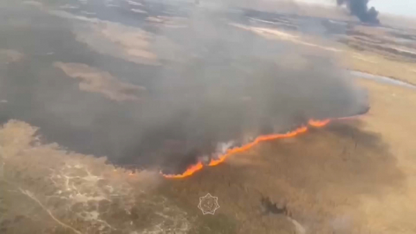 Степной пожар тушат пятые сутки в Алматинской области