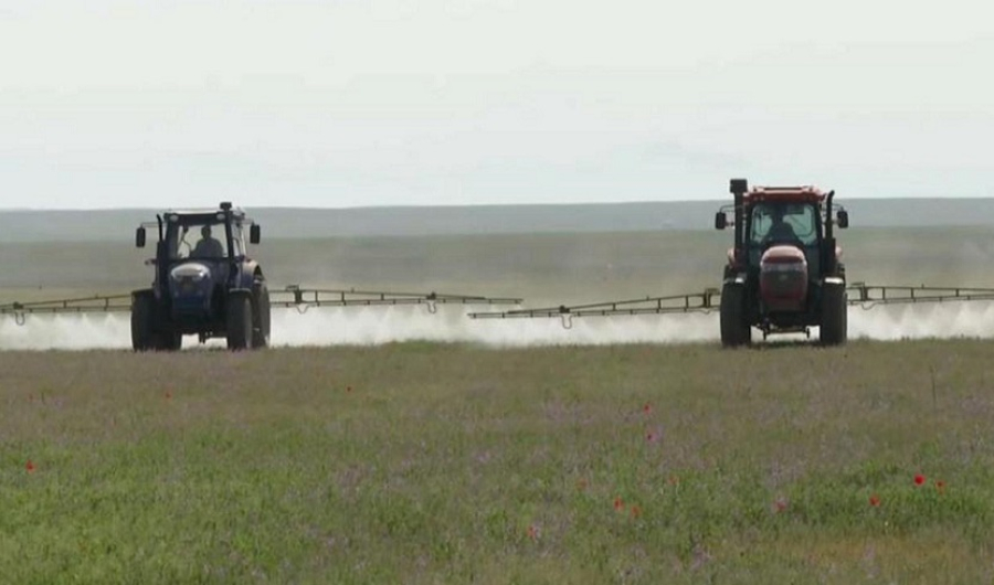 1,4 млн га сельхозугодий обработали от саранчи в Казахстане