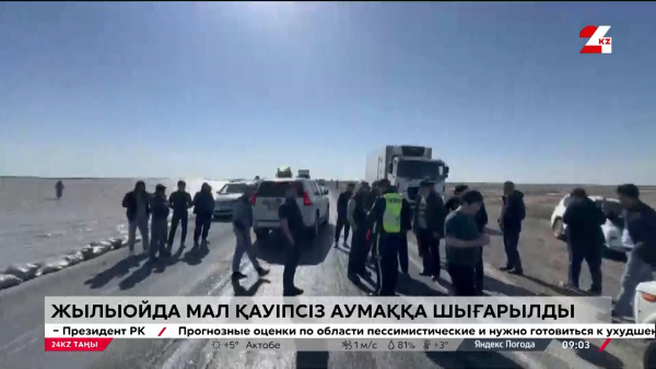 Жылыойда мал қауіпсіз аумаққа шығарылды