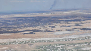 Пожар разгорелся в Иле-Балхашском резервате