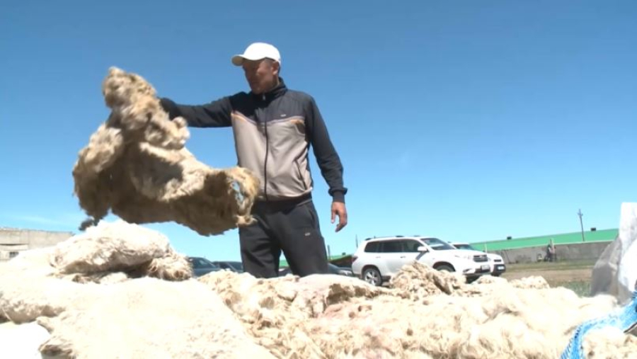 Переработку шерсти и шкур восстанавливают в Казахстане