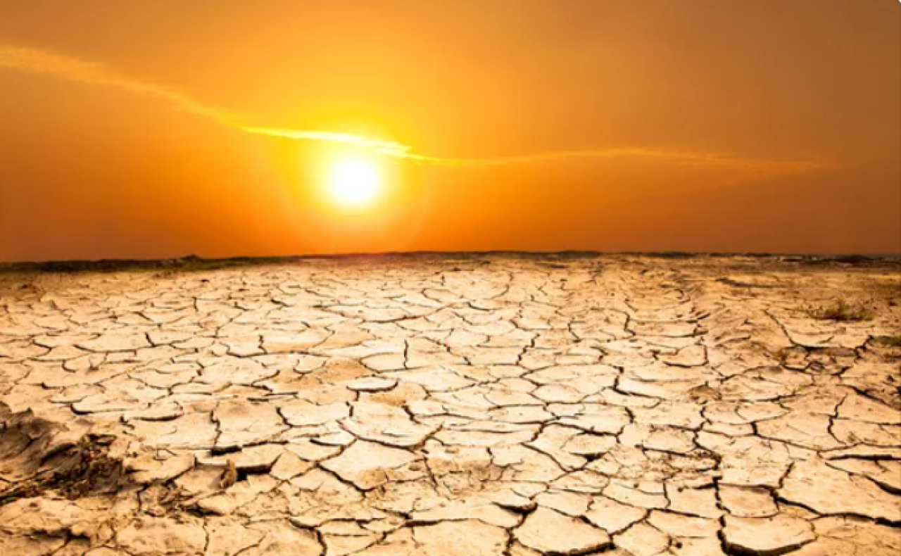 Рекордно жаркое лето зафиксировано в Японии