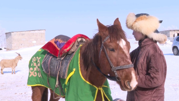 13 жасар жылқышы қыз ата кәсіпті жалғастыруды армандайды